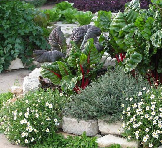 可食用花园设计引领别墅庭院设计新潮流