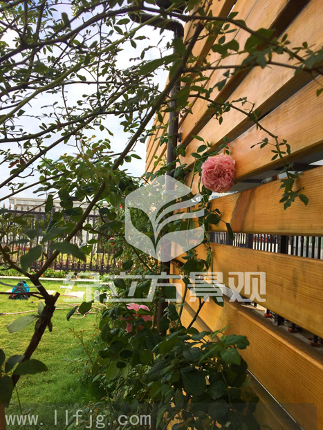 屋顶花园设计，露台花园设计，空中花园设计，露台花园景观设计，屋顶花园施工