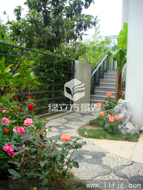 别墅庭院