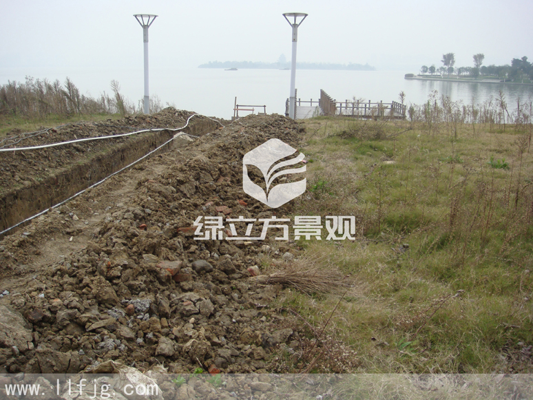 别墅庭院 别墅庭院