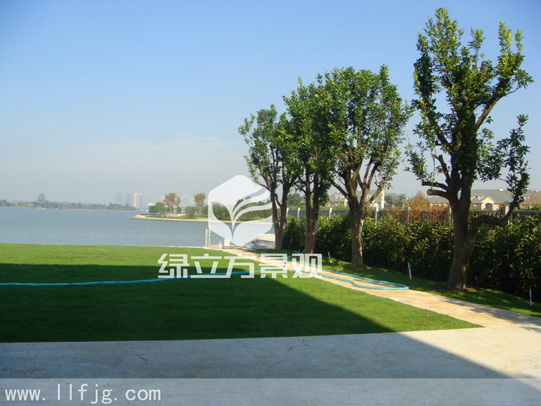 别墅庭院 别墅庭院