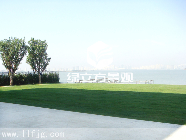 别墅庭院 别墅庭院