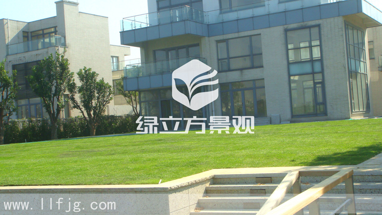 别墅庭院 别墅庭院