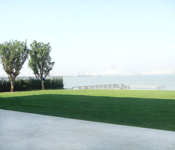 苏州园区金水湾别墅现代花园设计施工案例实景