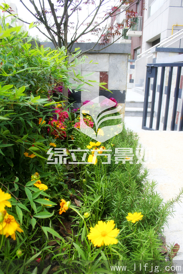 别墅庭院 别墅庭院