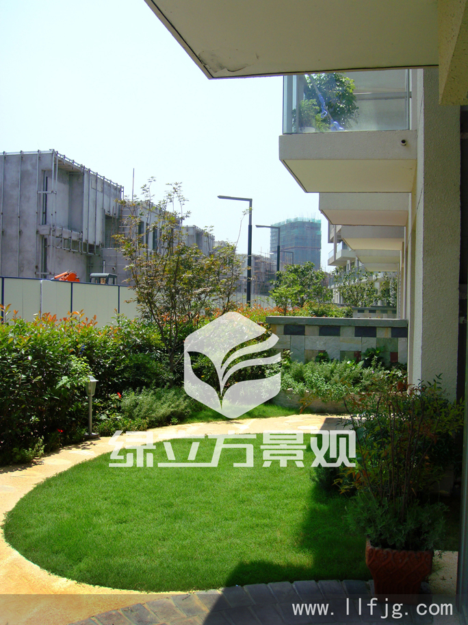 别墅庭院 别墅庭院