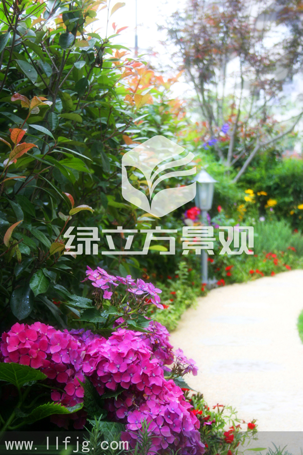 别墅庭院 别墅庭院