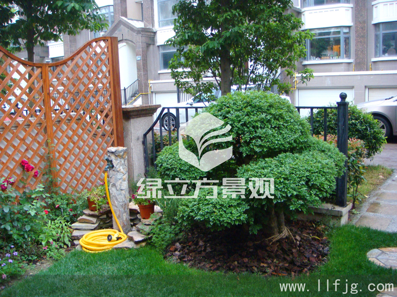 别墅庭院 别墅庭院