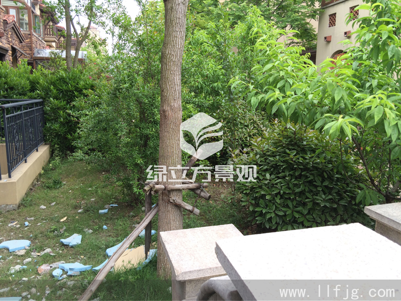 别墅庭院 别墅庭院