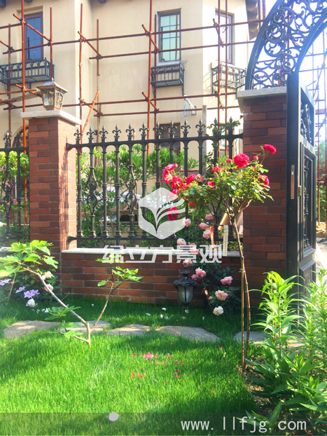 别墅庭院 别墅庭院