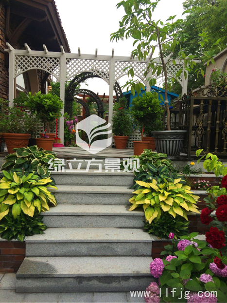 别墅庭院 别墅庭院
