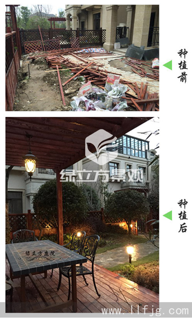 别墅庭院，防腐木花架，户外桌椅，休闲桌椅，花园植物，花园设计，庭院设计，竹子，木围栏，栏杆