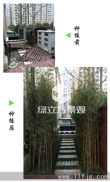 别墅庭院，防腐木花架，户外桌椅，休闲桌椅，花园植物，花园设计，庭院设计，竹子，木围栏，栏杆