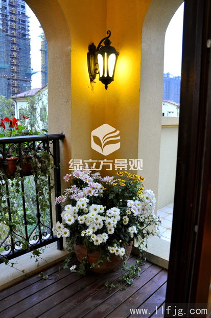 屋顶花园 屋顶花园