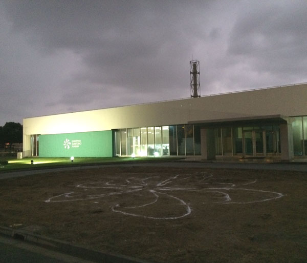 苏州园区厂区绿化改造及绿化养护