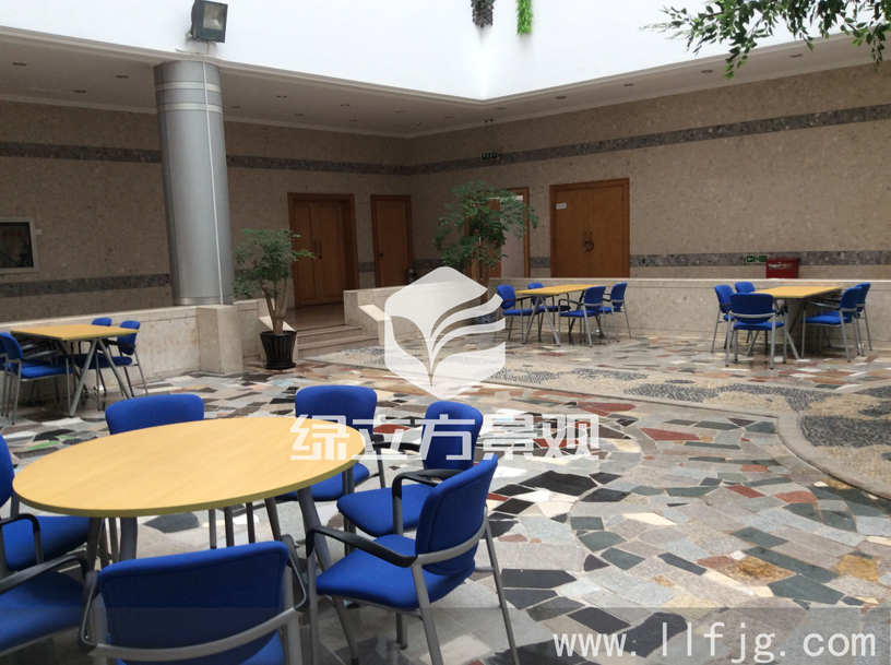 中庭花园 中庭花园