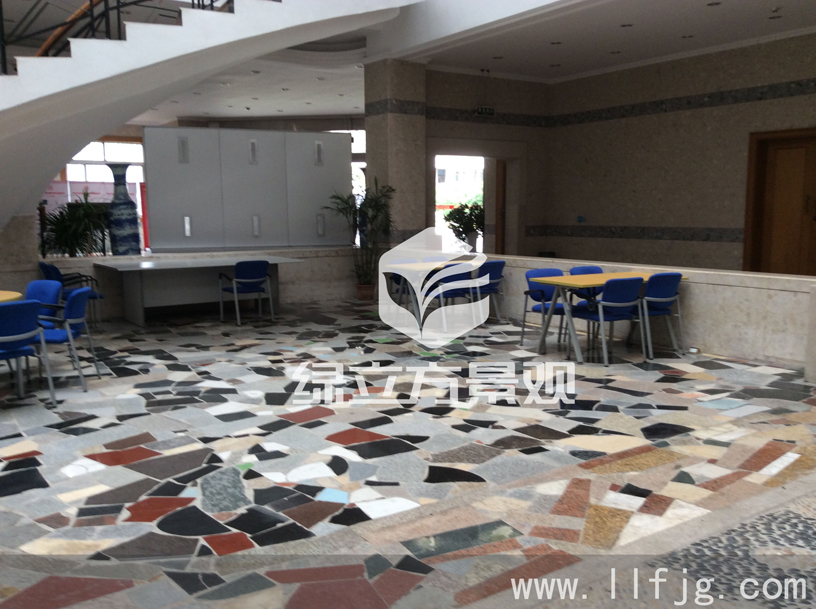 中庭花园 中庭花园