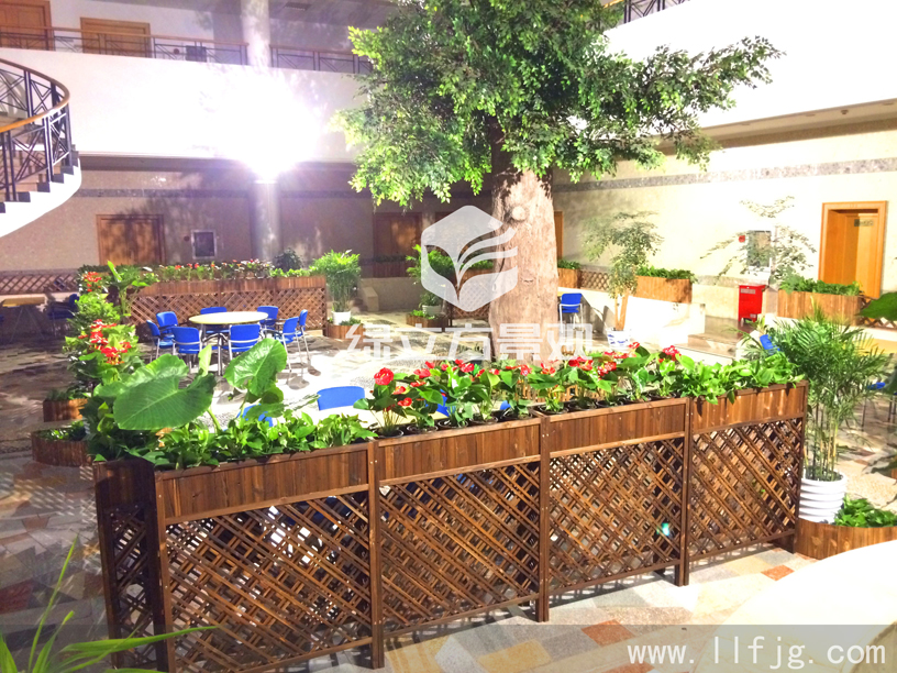 中庭花园 中庭花园