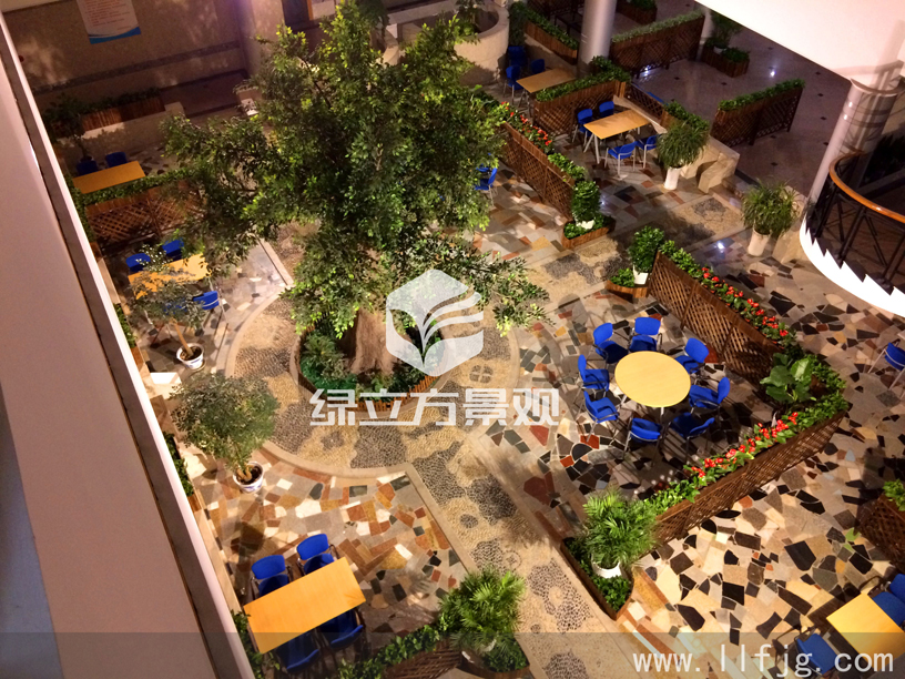 中庭花园 中庭花园