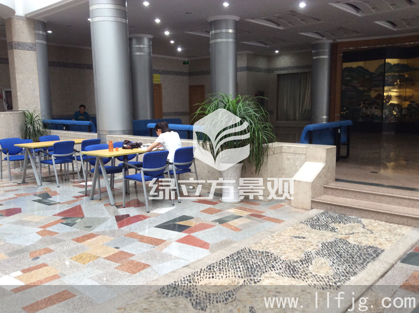 中庭花园 中庭花园