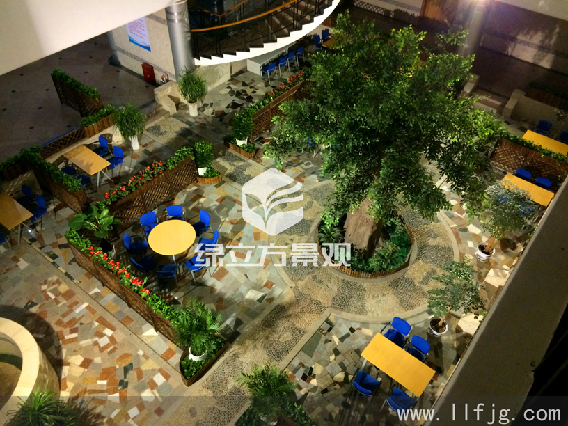 中庭花园 中庭花园