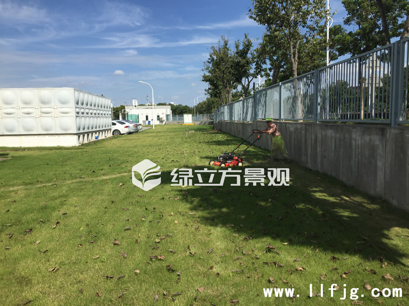 厂区绿化养护