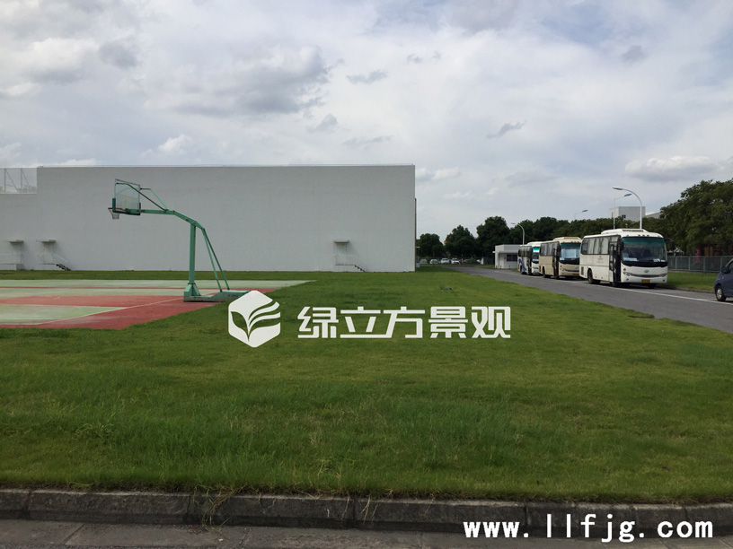 苏州厂区绿化养护