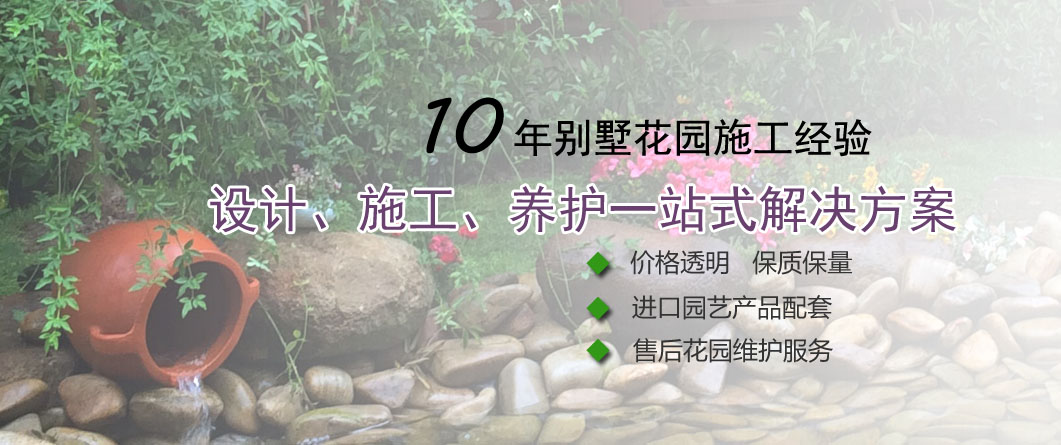 1770694908204890.jpg 4.jpg