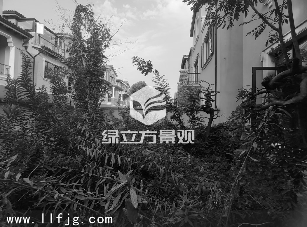 苏州庭院设计，庭院景观设计，花园设计，庭院养护