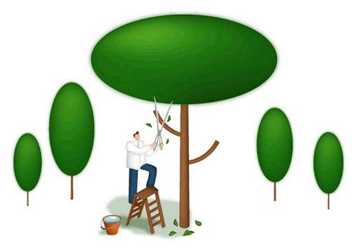 1770795068158579.png 7.png