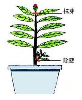 1770795092219229.png 8.png