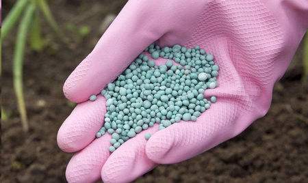 别墅花园植物冬季水肥管理