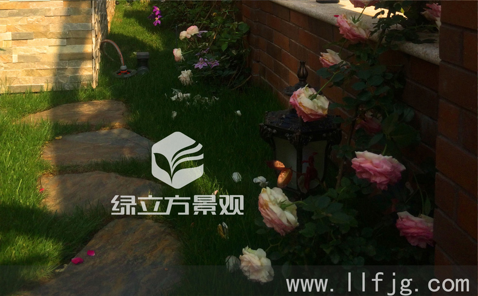 别墅花园养护，花园设计，庭院设计，植物修剪，庭院绿化植物，草坪修剪，草坪打药，文化石，园艺砖