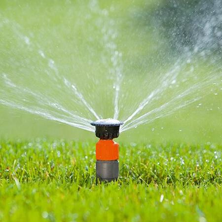 苏州别墅庭院2月份草坪养护措施