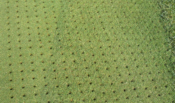 草坪养护,草坪打孔,别墅草坪养护,苏州绿化养护