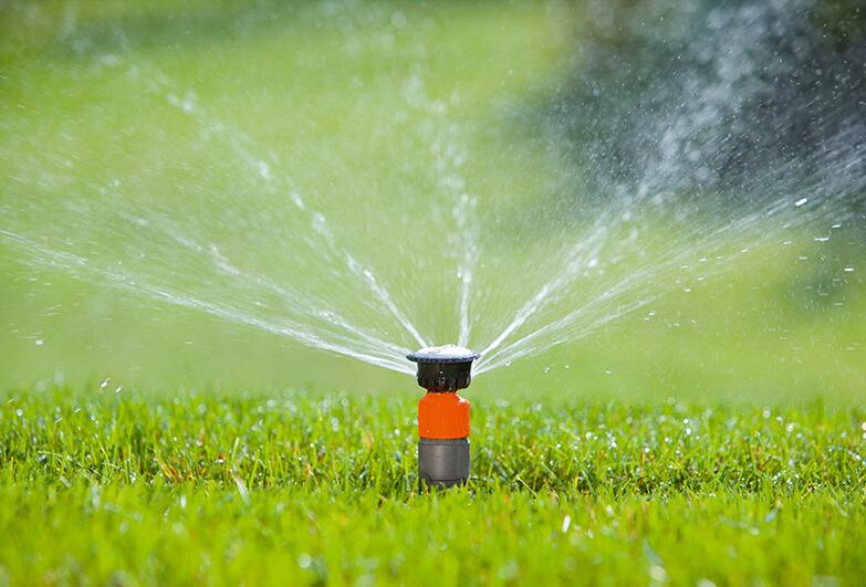 草坪浇水,草坪养护,苏州庭院养护,苏州别墅养护,苏州绿化公司