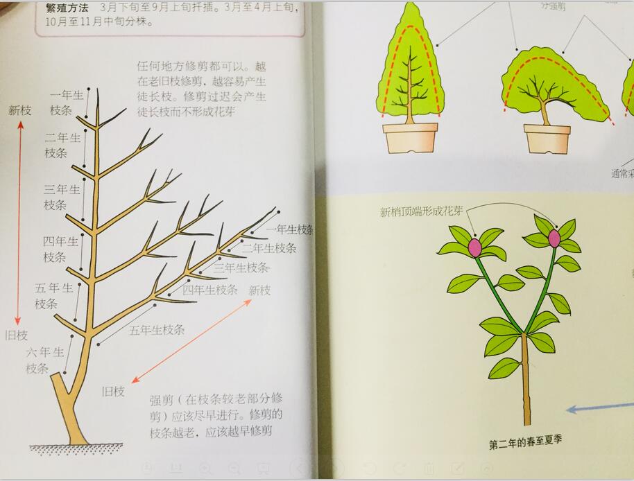 日式景观设计，日式庭院设计，日式枯山水景观，苏州花园设计，苏州庭院设计