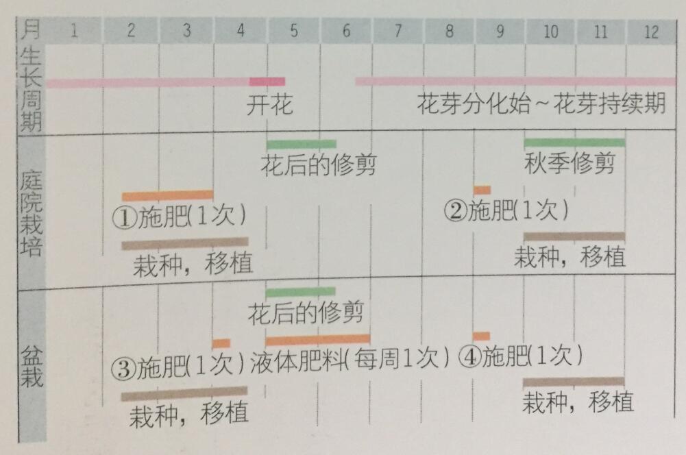 日式景观设计，日式庭院设计，日式枯山水景观，苏州花园设计，苏州庭院设计