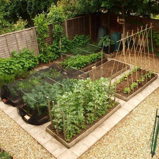 我想在花园里种些菜会不会影响美观?