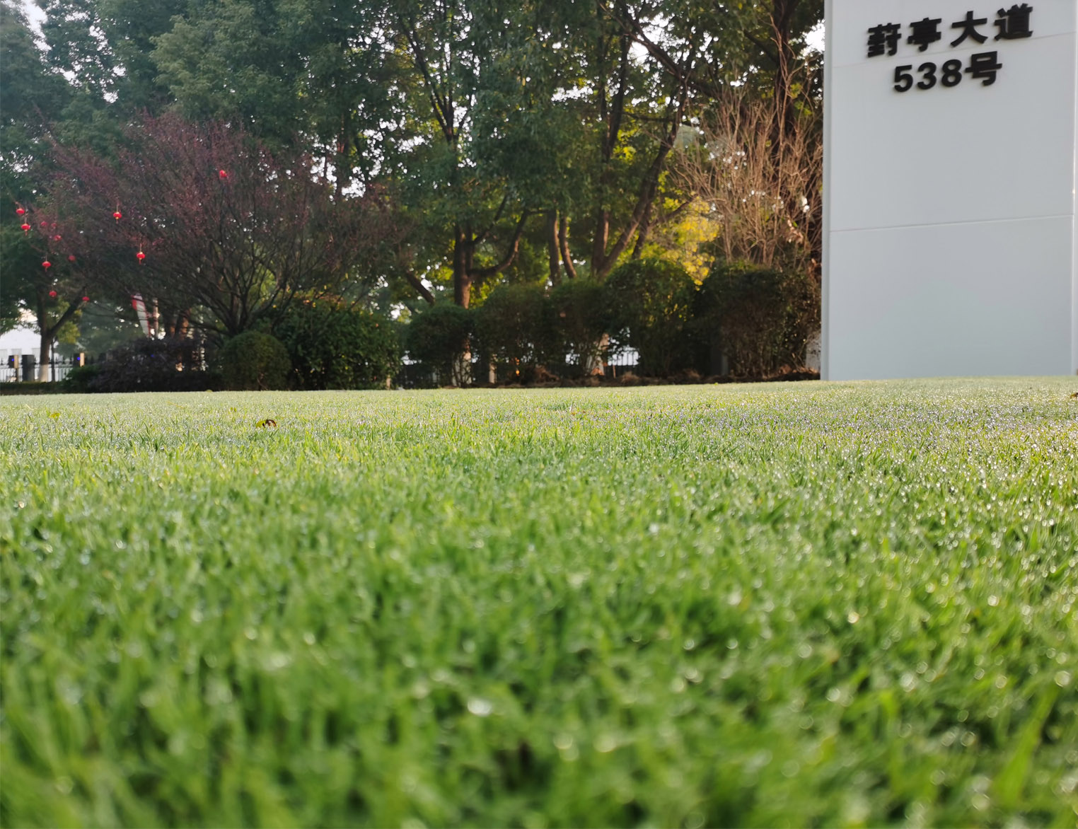 苏州绿立方景观公司地址.jpg 苏州绿立方景观公司地址.jpg