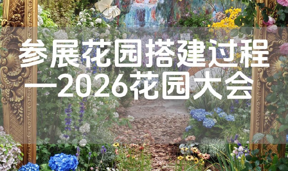 参展花园搭建过程-2026花园大会